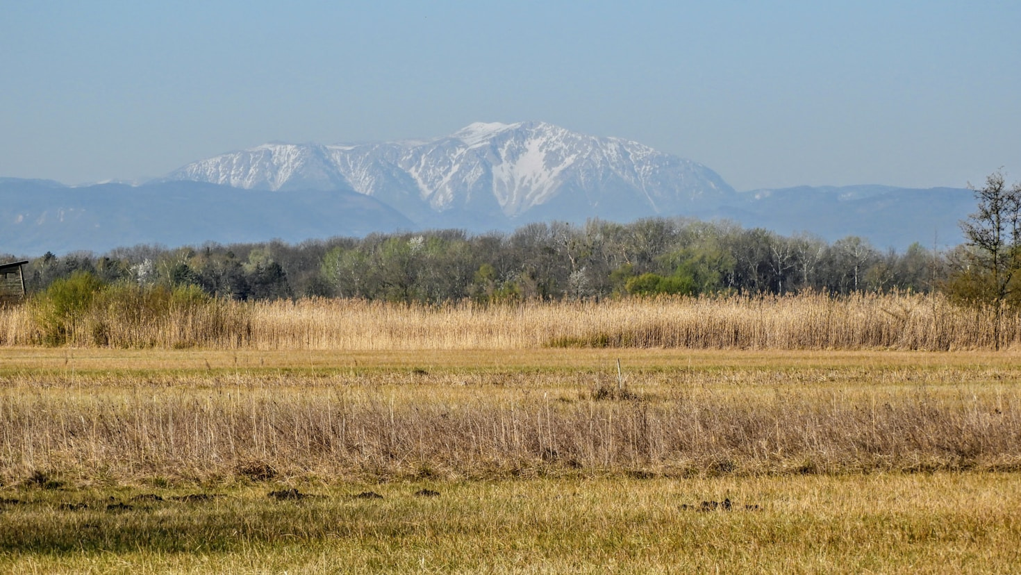 Relevante Themen für Niederösterreich im Überblick